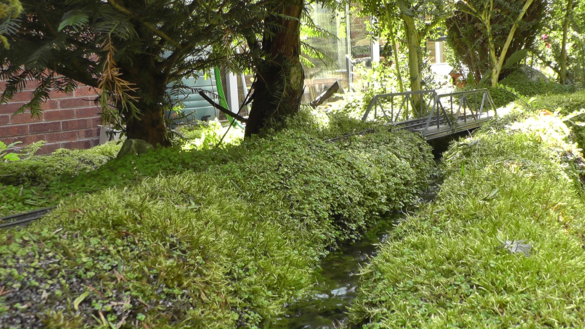 vlcsnap-2021-09-04-10h37m27s675.jpg