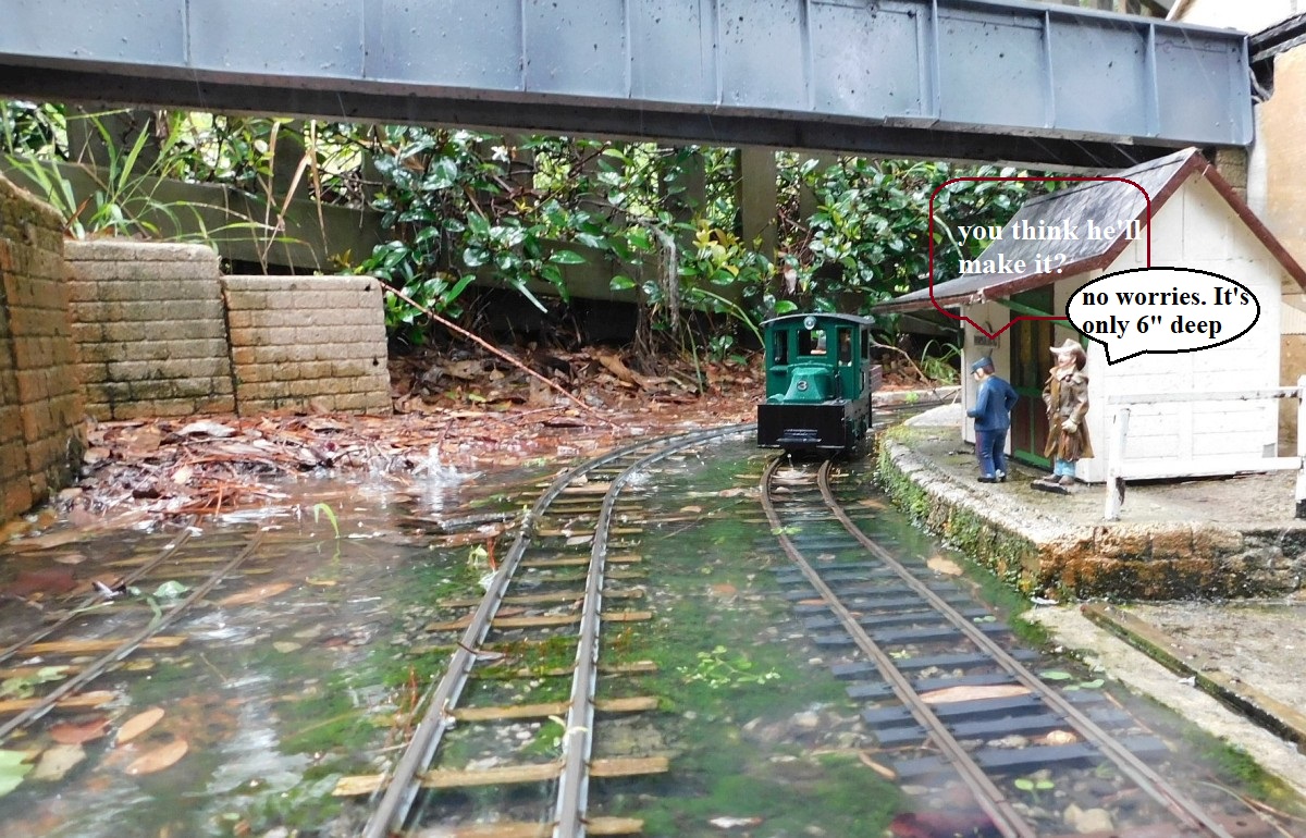 bit wet b.jpg