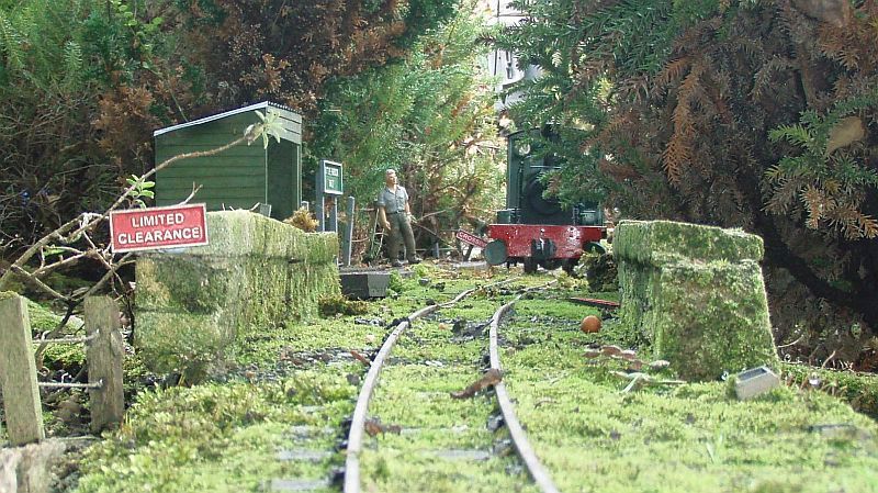 5 - P1010006-800-2.jpg