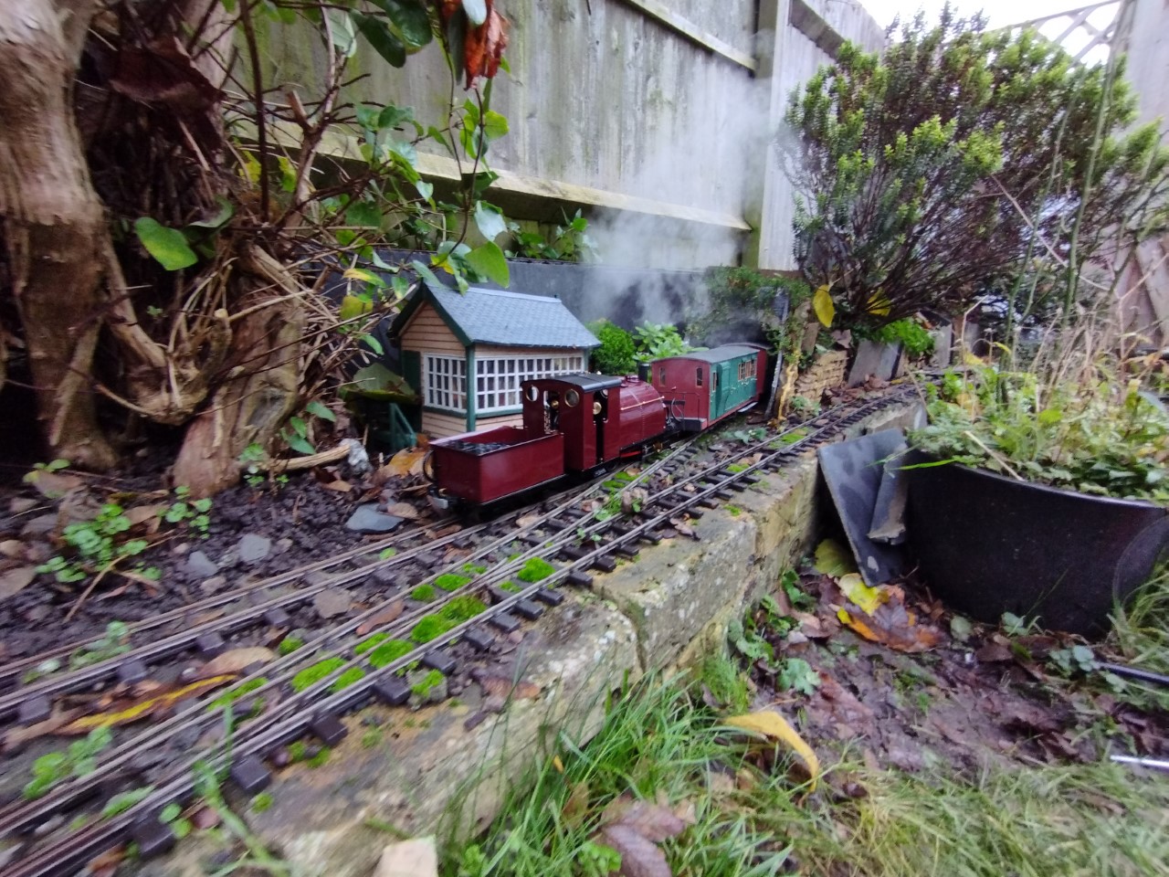 Autumn 22 F.jpg