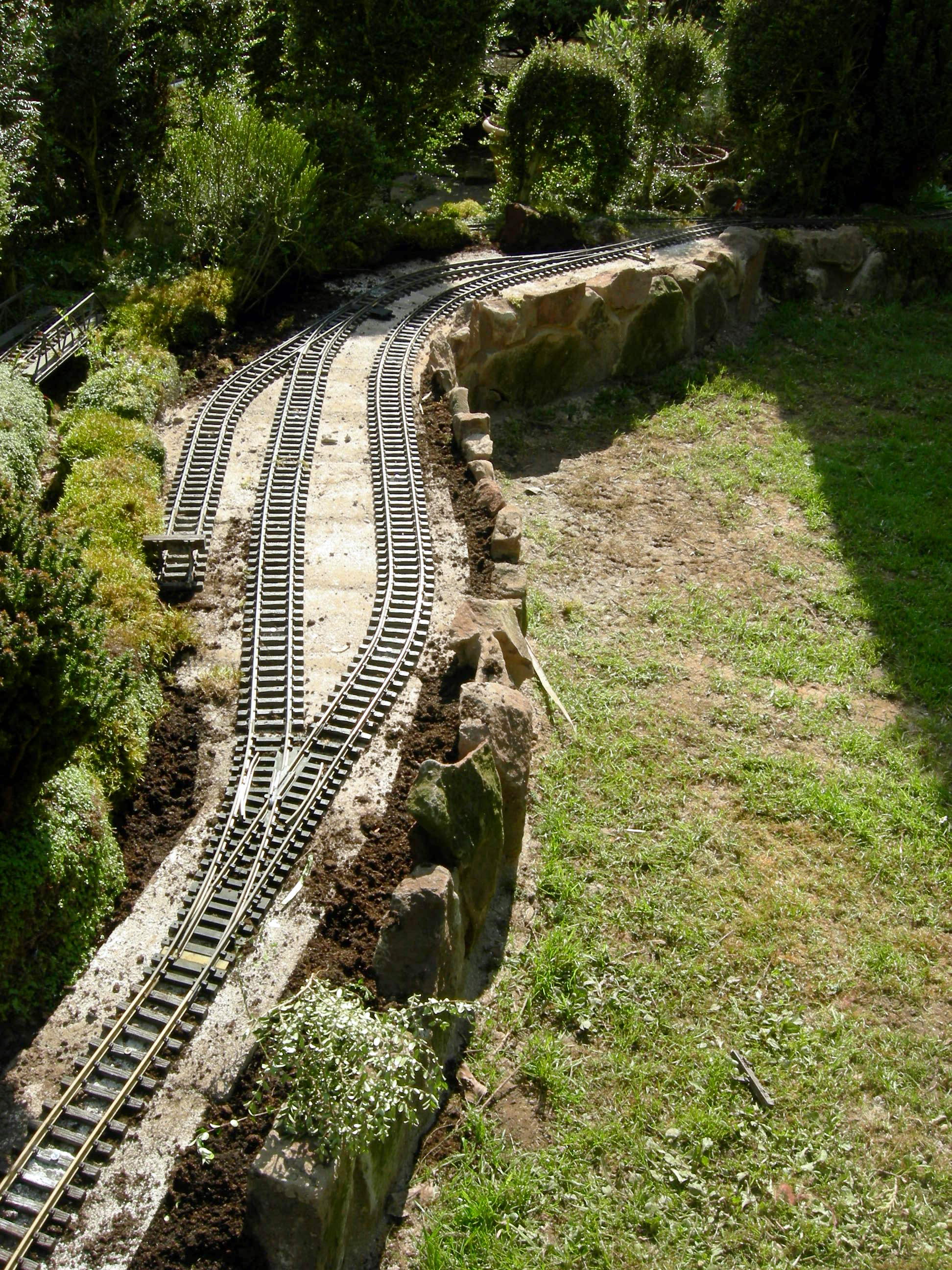 DSCN3442.JPG