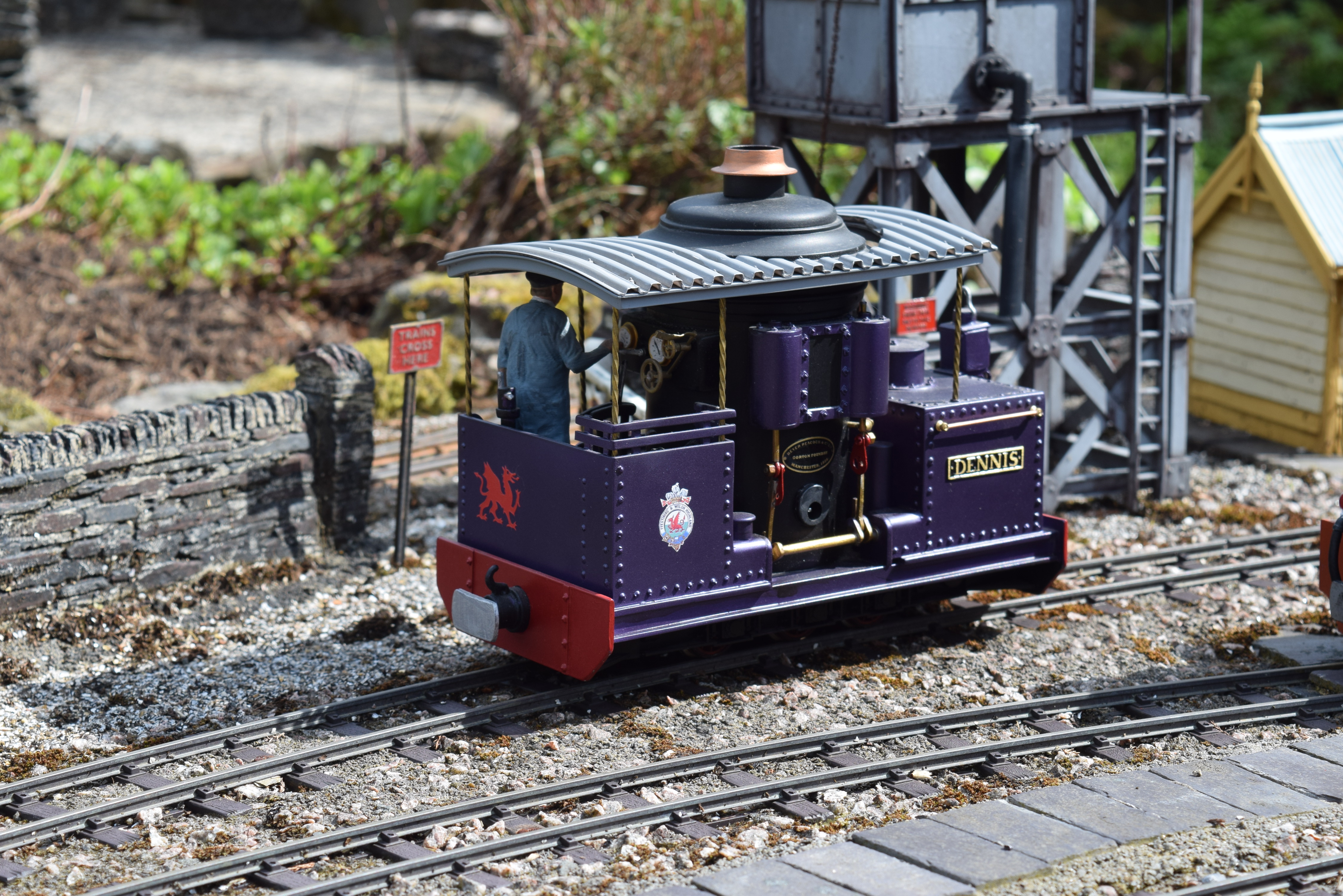 DSC_0023.JPG