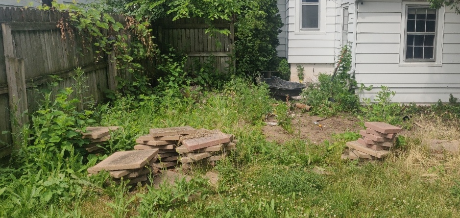 For comparison, the same area at the beginning of the month. We've been a little busy!