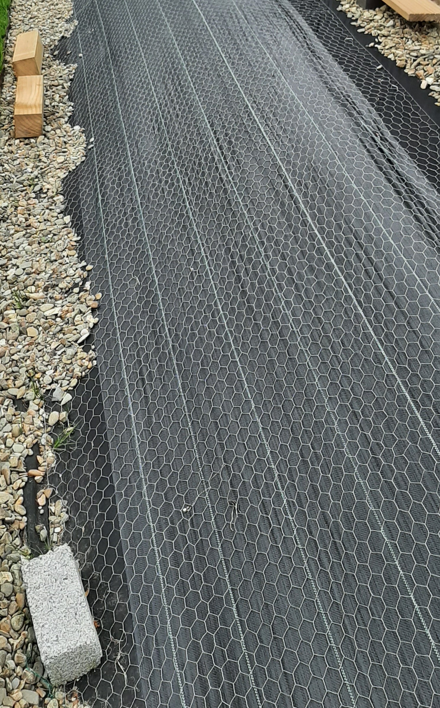 20220704_124055.jpg