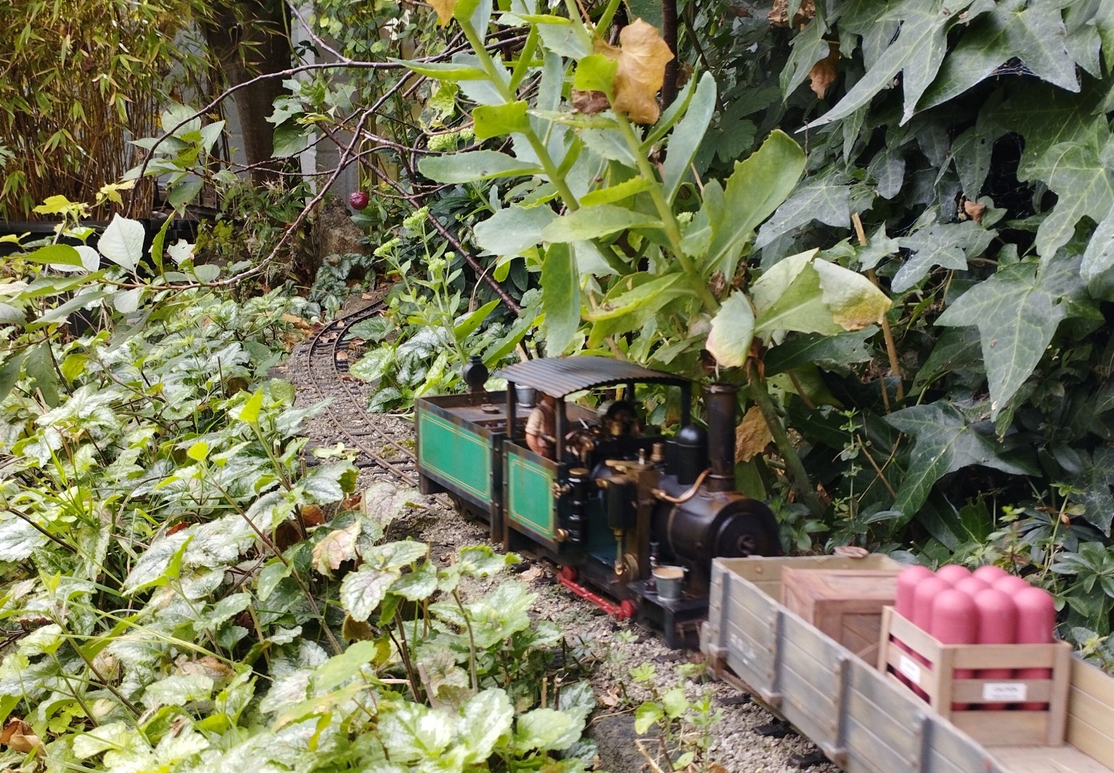Tender Regner 2.jpg