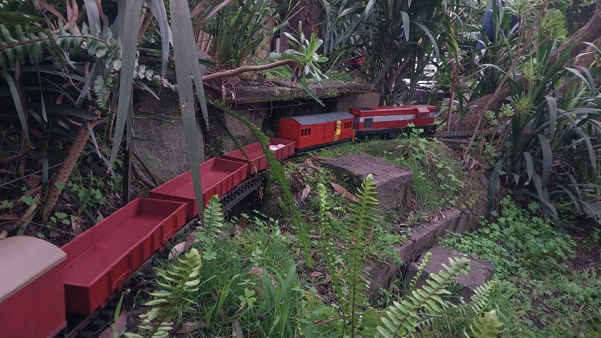 461096891_563214409494773_724169374994807155_n.jpg