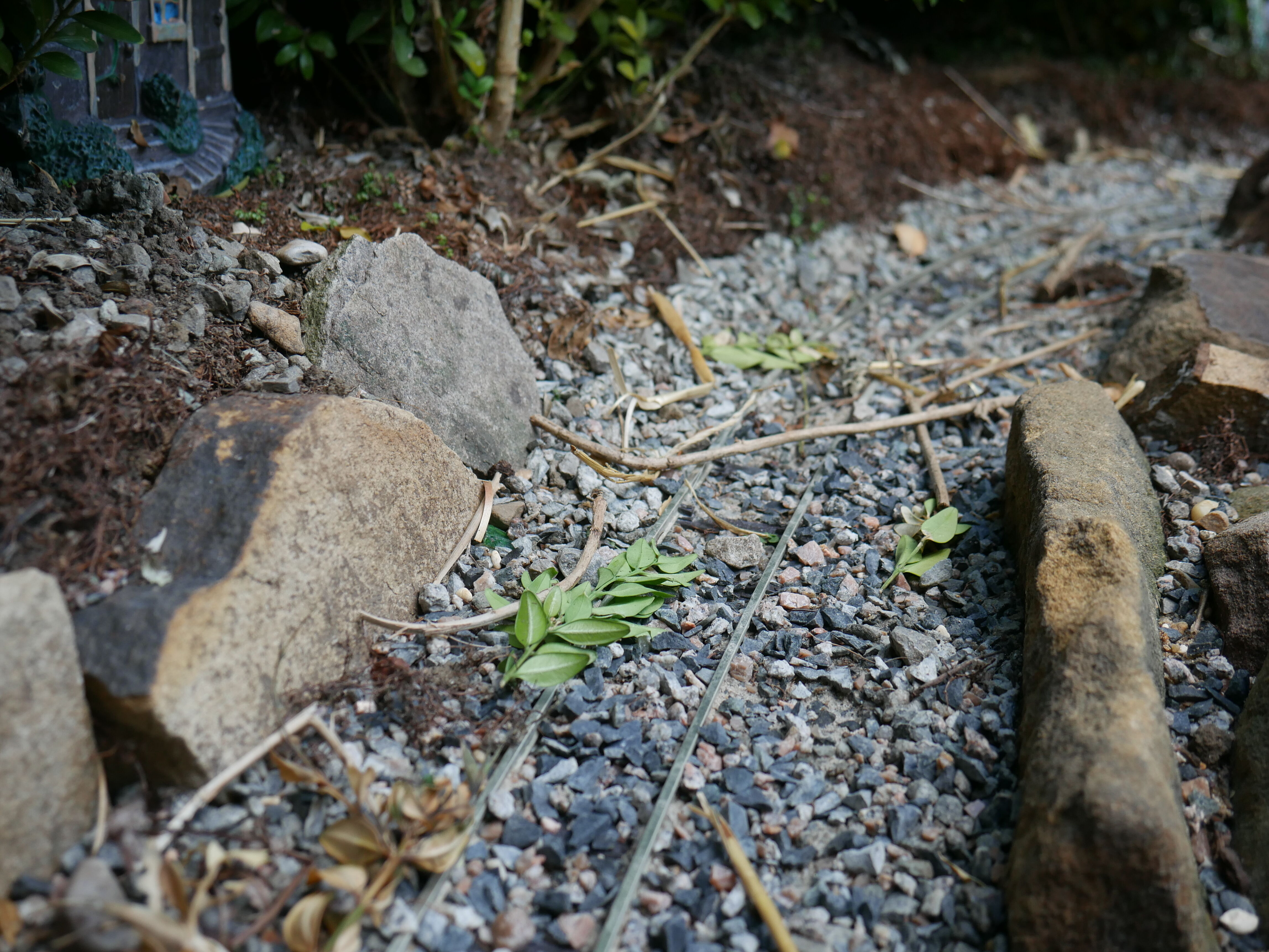 P1040386_optimized_5000.jpg
