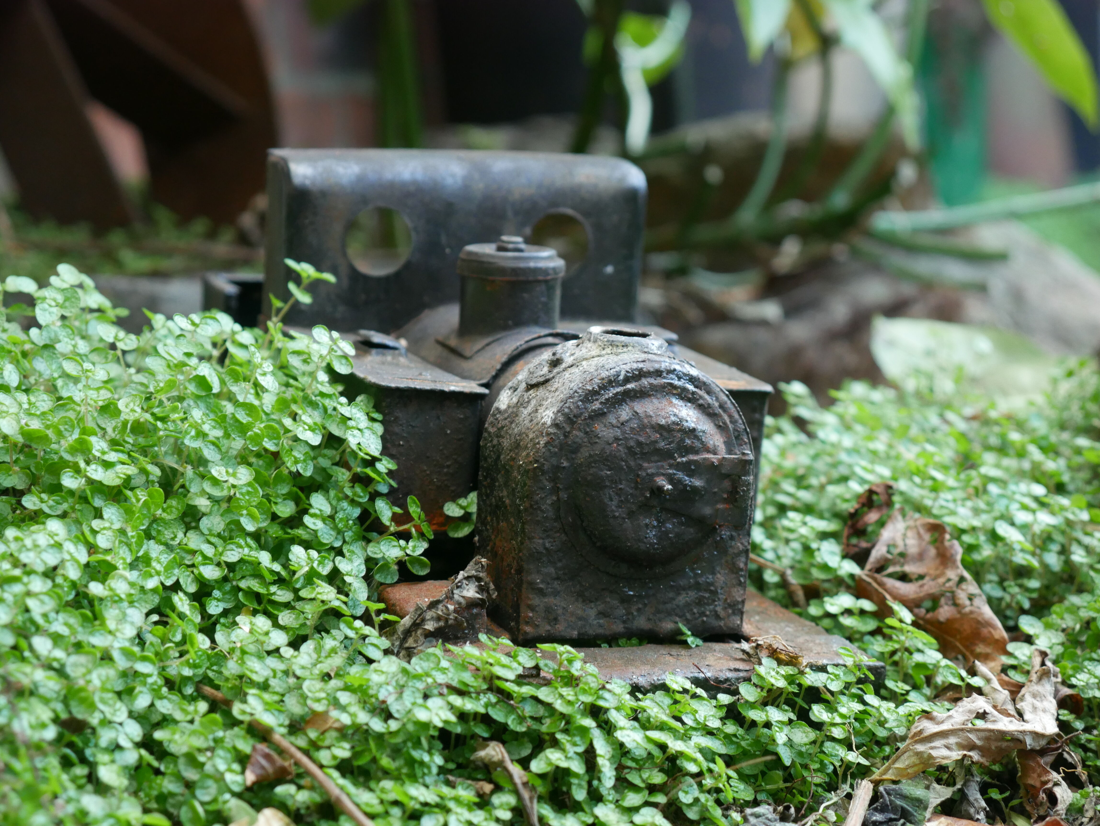 P1040385_optimized_5000.jpg