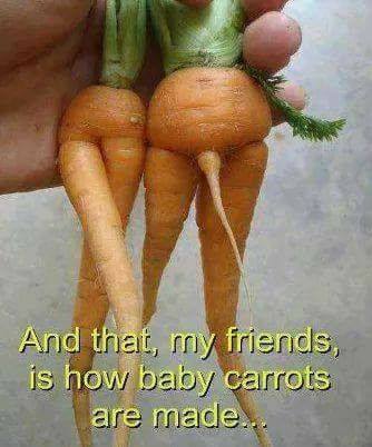 baby carrots.jpg
