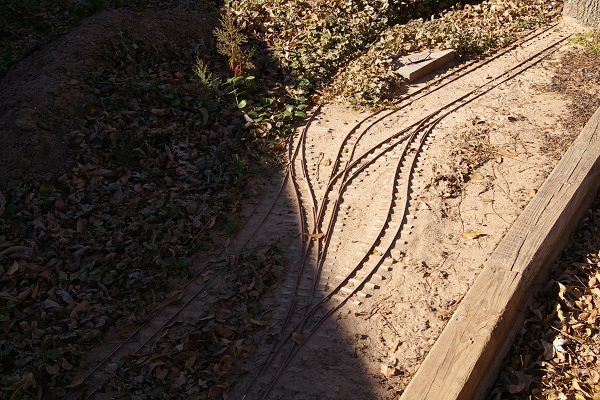 IMGP1207a.jpg