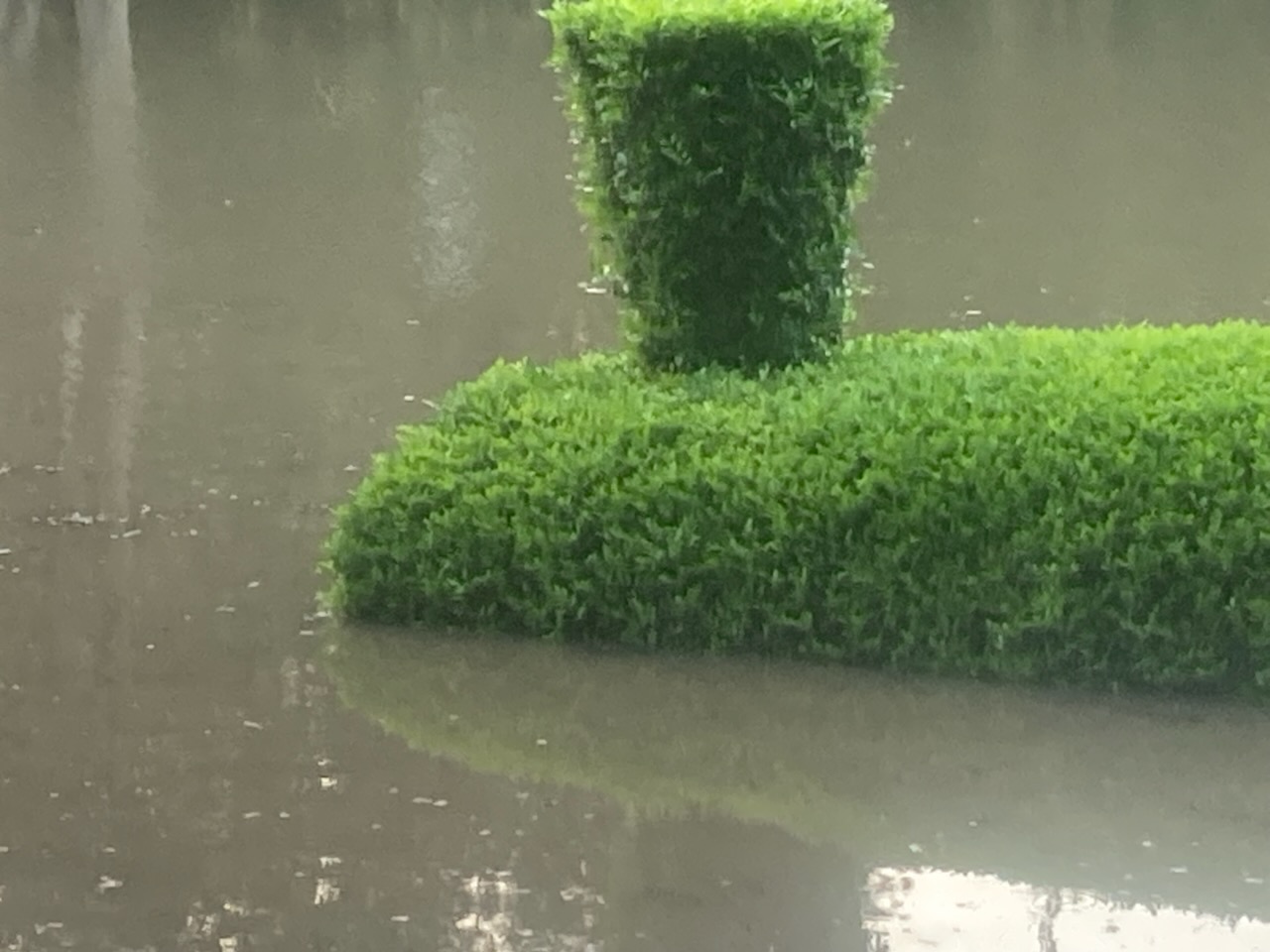 2026.03 Flood Station Looking East.JPG