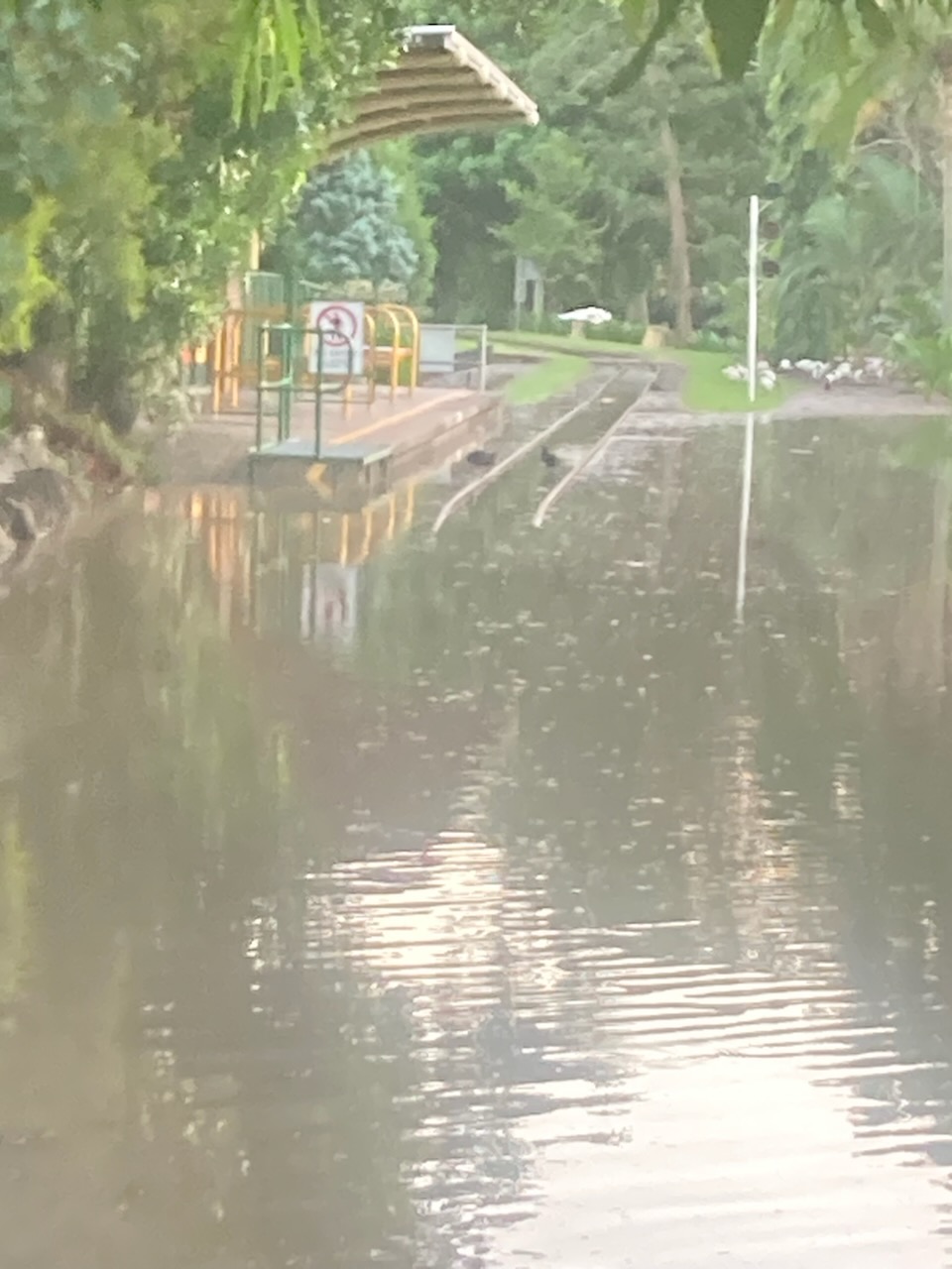 2026.03 Flood Station.JPG