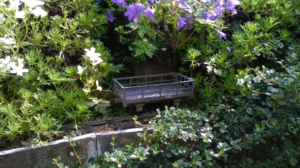 Overgrown slate wagon.jpg