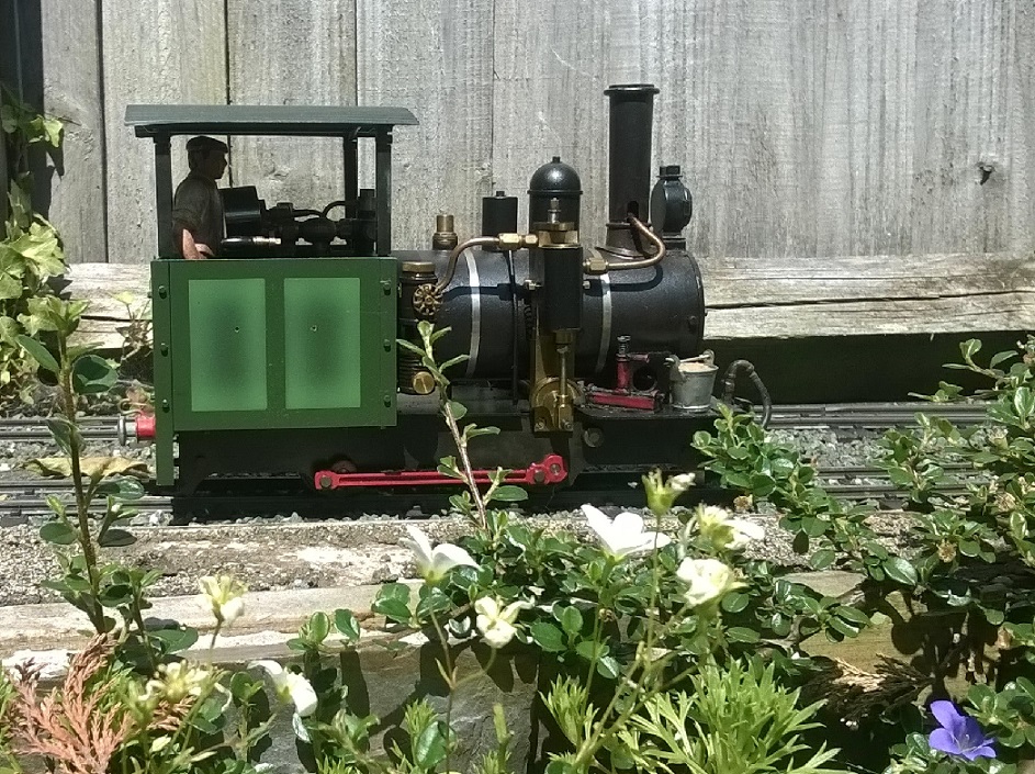 Daisy raising steam.jpg