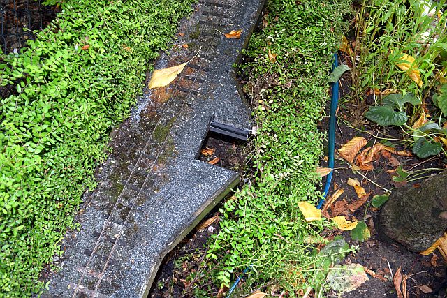DSC_0003 (1) small.jpg