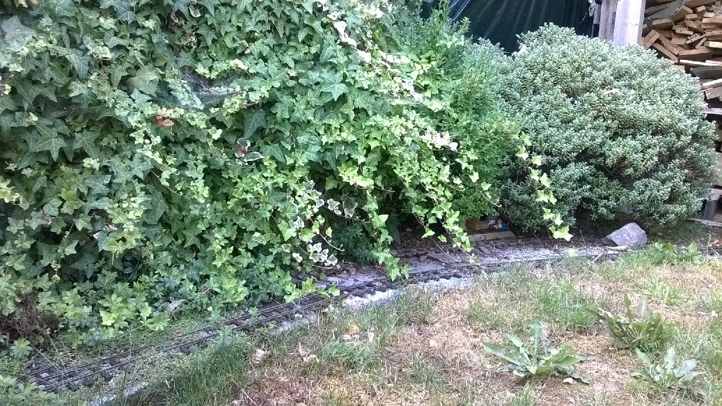 Penlan 1.jpg