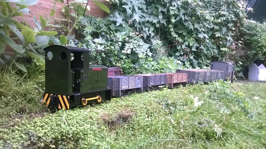 Plum trains 3.jpg
