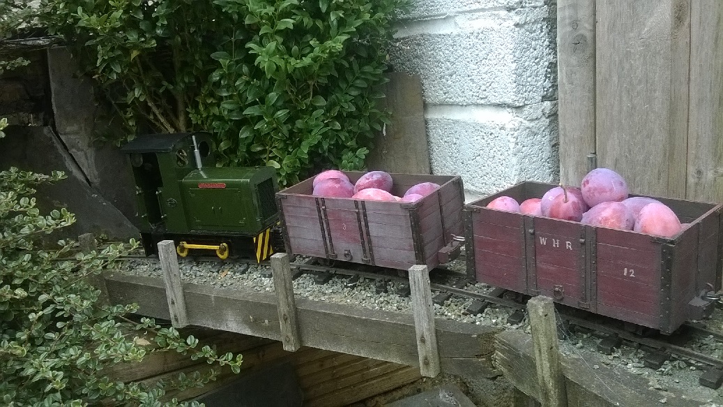 Plum trains 7.jpg