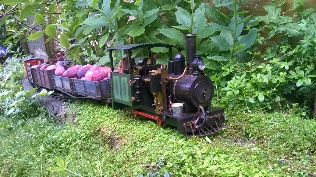 Plum trains 9.jpg