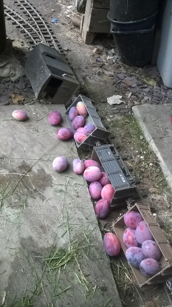 Plum trains 12.jpg