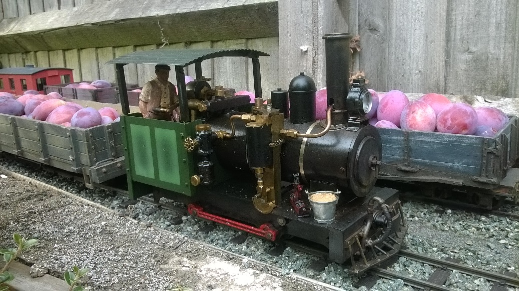 Plum trains 13.jpg