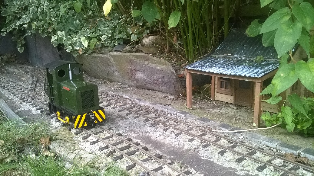 Plum trains 14.jpg