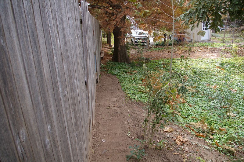 IMGP1700a.jpg