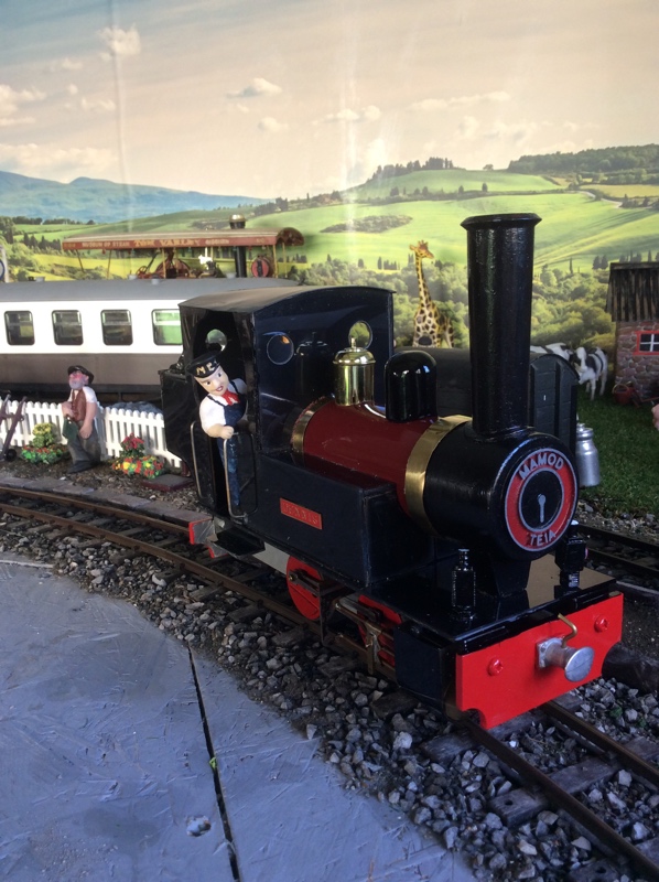 Hubby,s scratchbuilt train