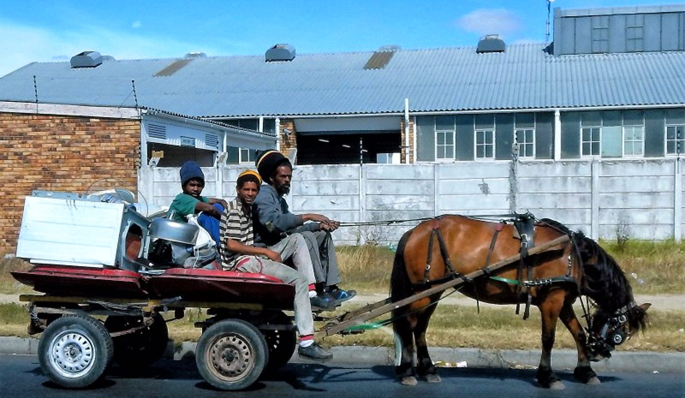 GroundUp-cart-horses-MAIN-PHOTO.jpg
