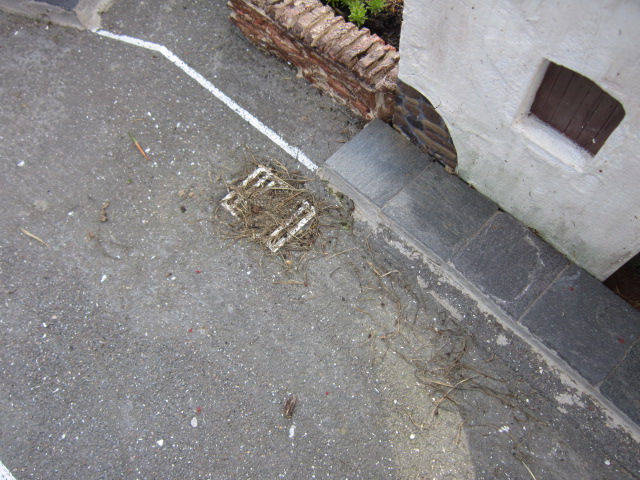 IMG_6440.JPG