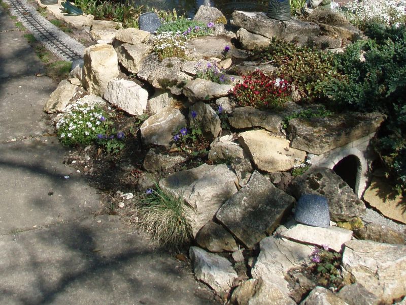 Rockery new.jpg