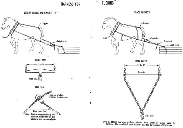 traceharness0025.jpg